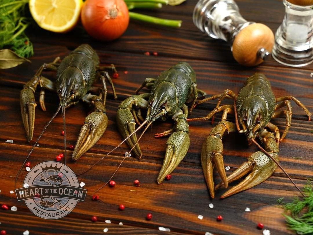 Живые раки L