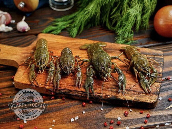 Живые раки Беби